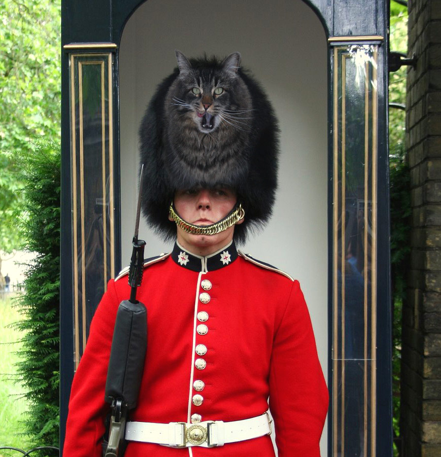 Photoshop Design by snakebit for DesignCrowd (Community Contests) | Design #8936642