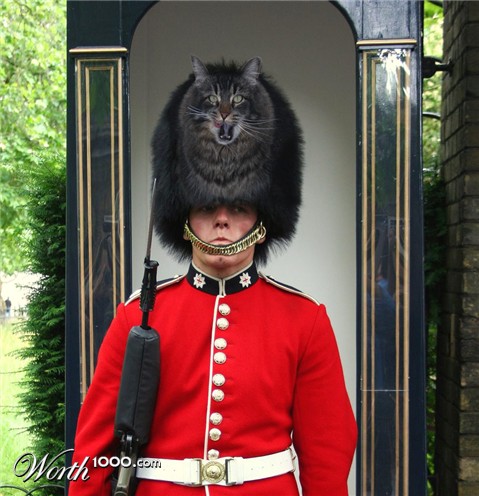 Photoshop Design by snakebit