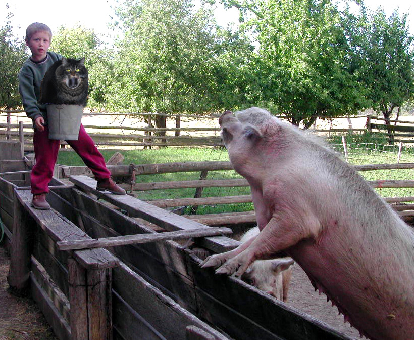 Design Photoshop par cassanhorse pour DesignCrowd (Community Contests) | Design #8936649