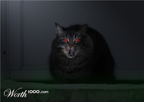 Photoshop Design by jsmrcaga