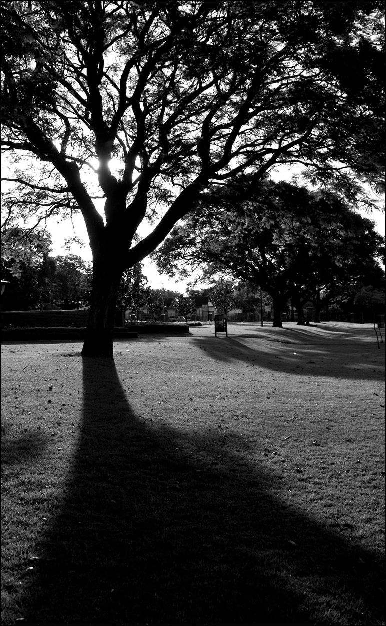 Photographie par lynvdg pour DesignCrowd (Community Contests) | Design #8935429