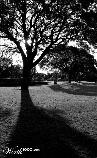 Photography by lynvdg