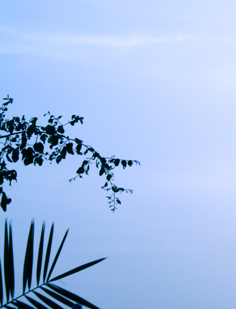 Fotografía por Eftekhar para DesignCrowd (Community Contests) | Diseño #8935459