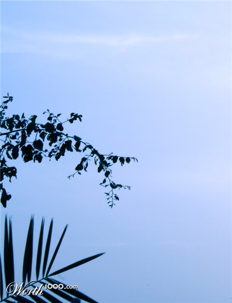 Photography by Eftekhar