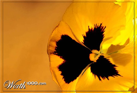 Photography by Isabella2006