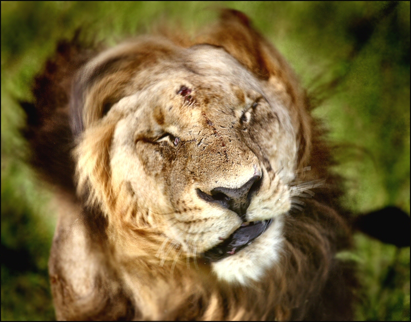 Fotografie von Juicer für DesignCrowd (Community Contests) | Design #8934991