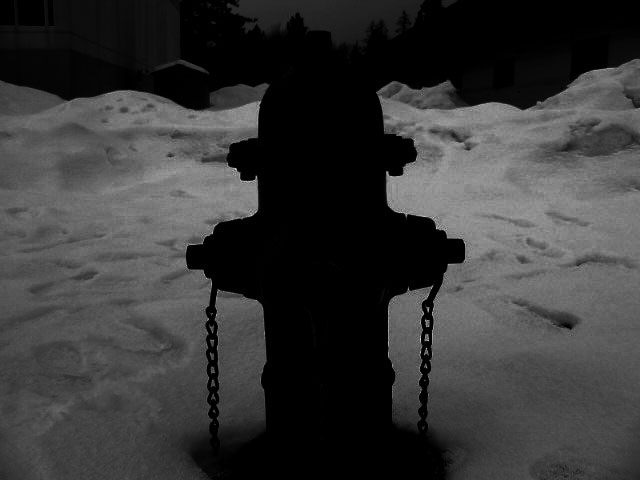 Photography by Shadizzle for DesignCrowd (Community Contests) | Design #8935534