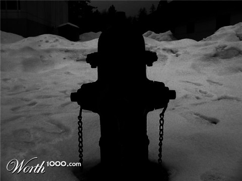 Photography by Shadizzle