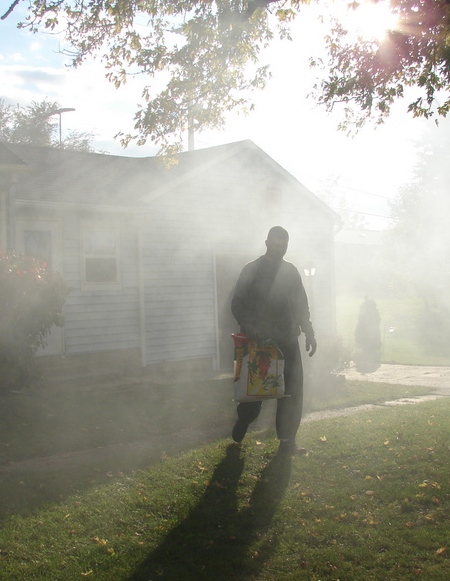 Photography by badina for DesignCrowd (Community Contests) | Design #8935483