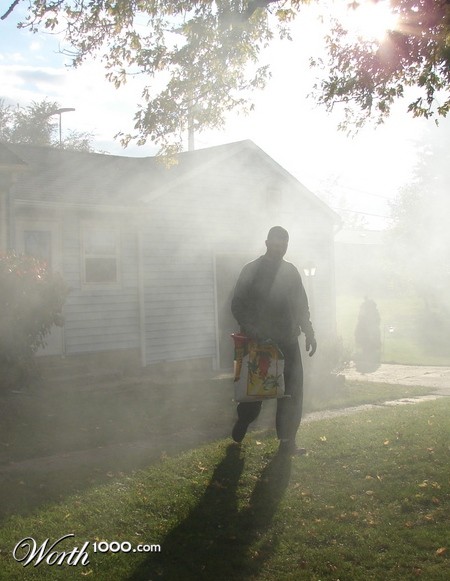 Photography by badina