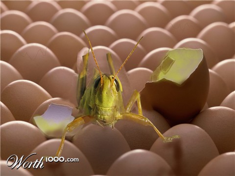 Photoshop Design by crouchy28