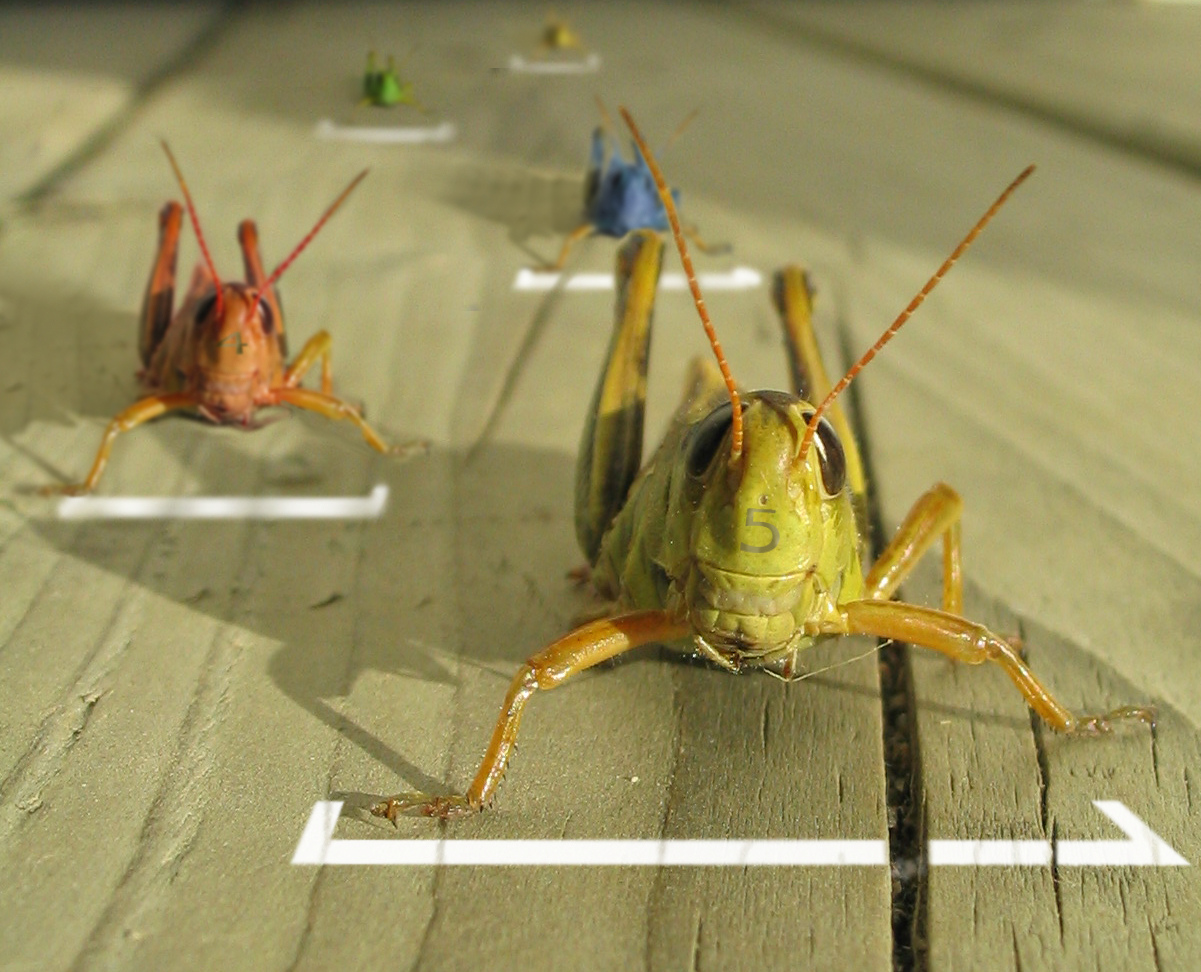 Photoshop Design by serresnoe for DesignCrowd (Community Contests) | Design #8935522