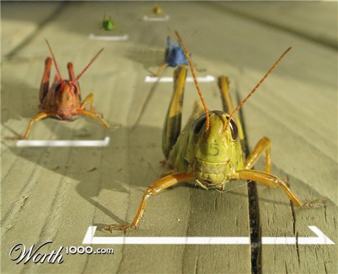 Photoshop Design by serresnoe