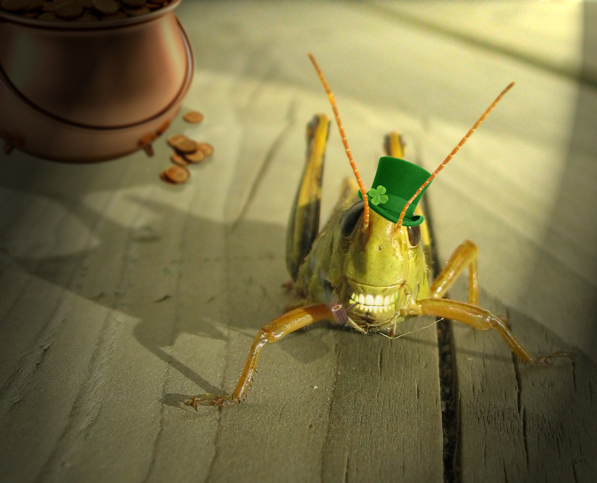 Design Photoshop par kate7819 pour DesignCrowd (Community Contests) | Design #8935519