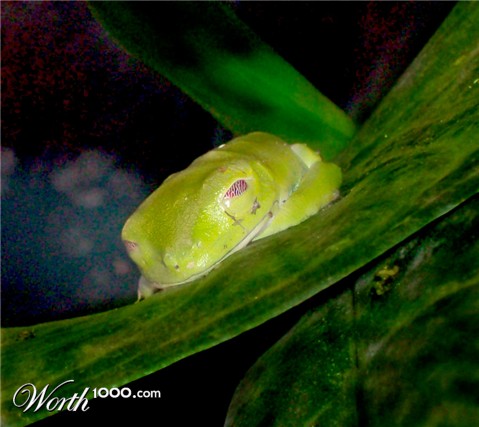 Photography by bubbles1