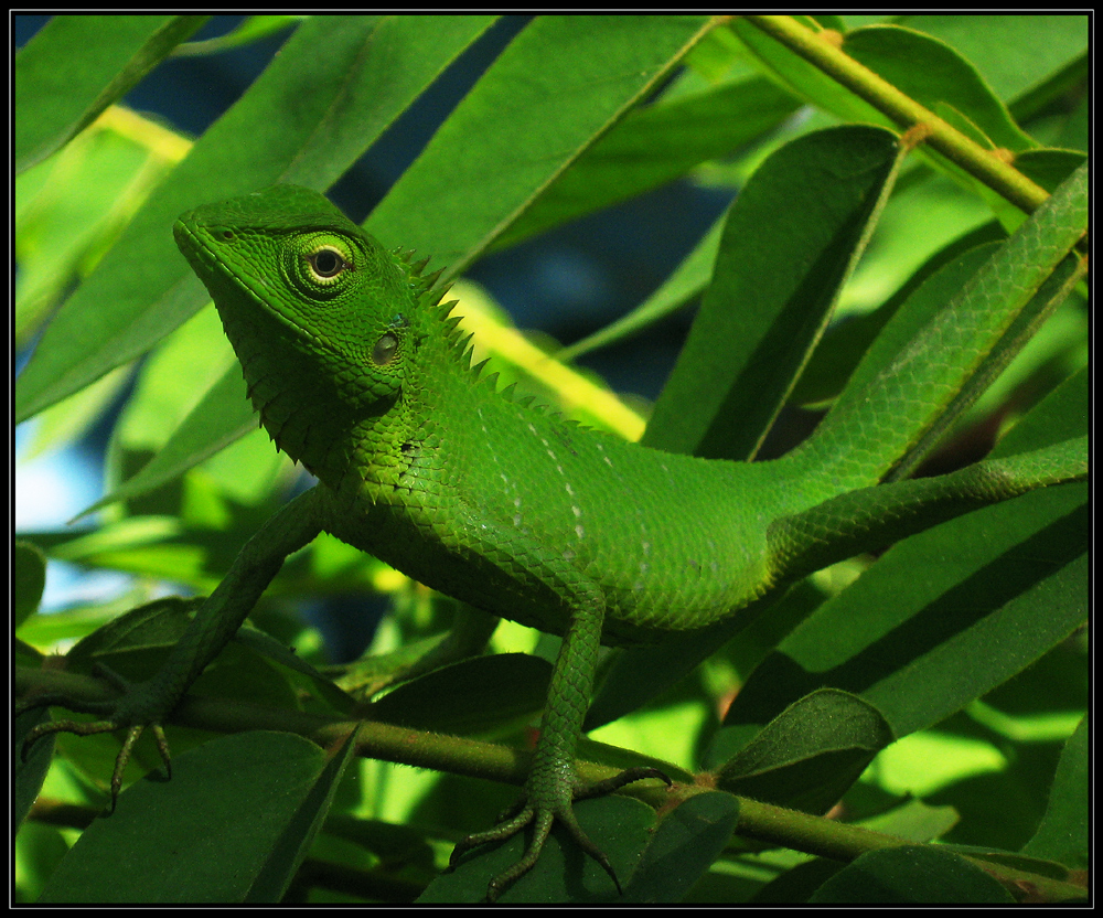 Photography by KUMAR44 for DesignCrowd (Community Contests) | Design #8936669