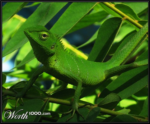 Photography by KUMAR44