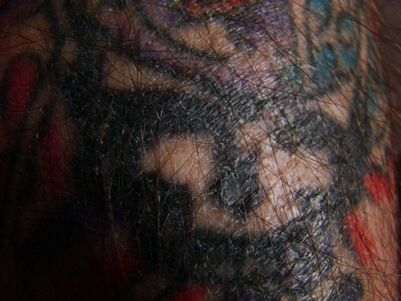 Photography by gibsonrw for DesignCrowd (Community Contests) | Design #8935038