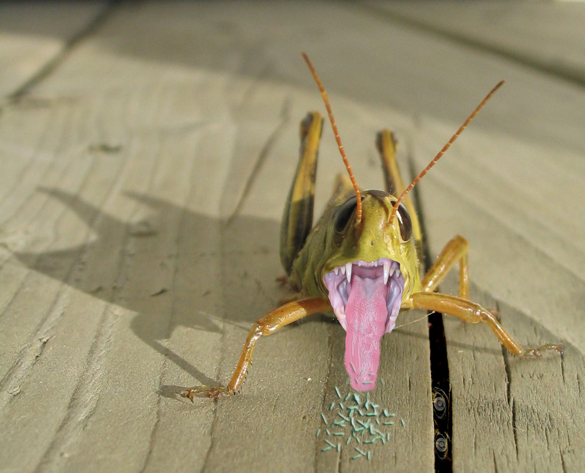 Photoshop-Design von grmy01 für DesignCrowd (Community Contests) | Design #8935556