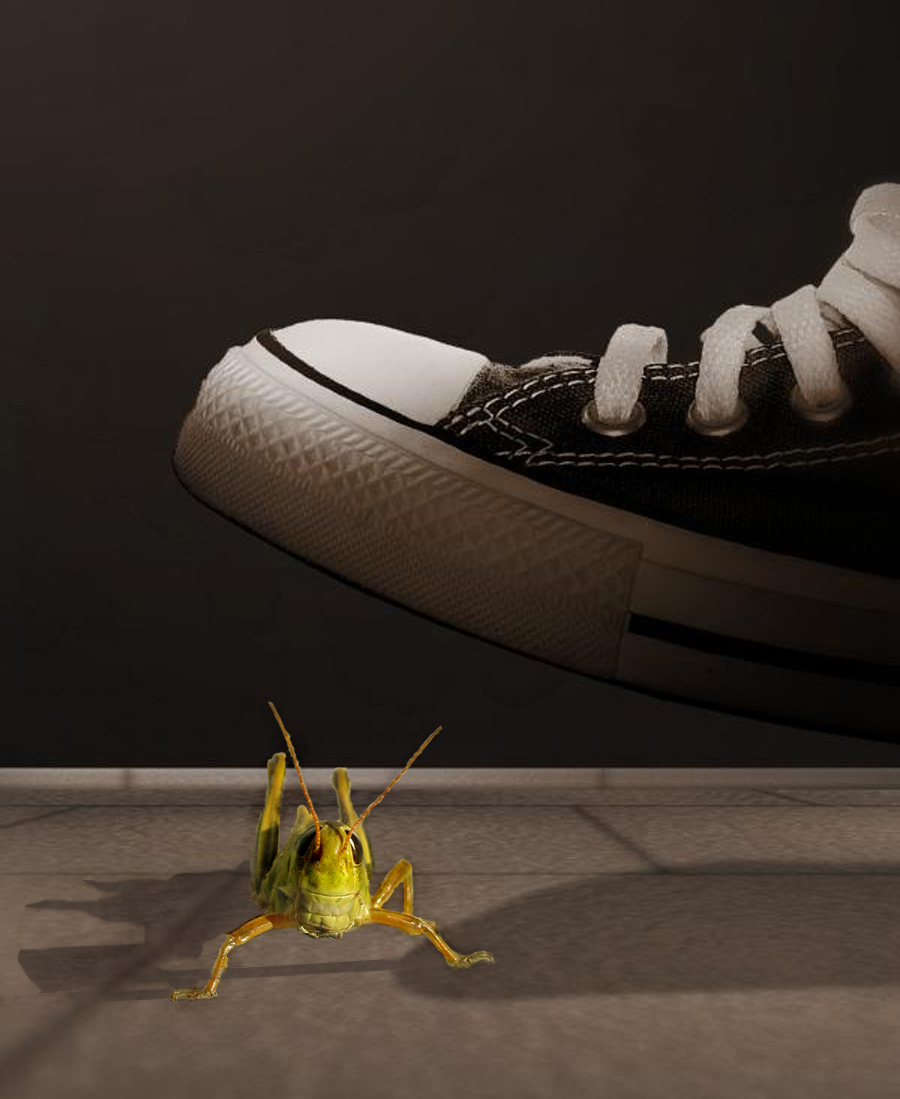 Photoshop Design by Takes2Hands2 for DesignCrowd (Community Contests) | Design #8935587