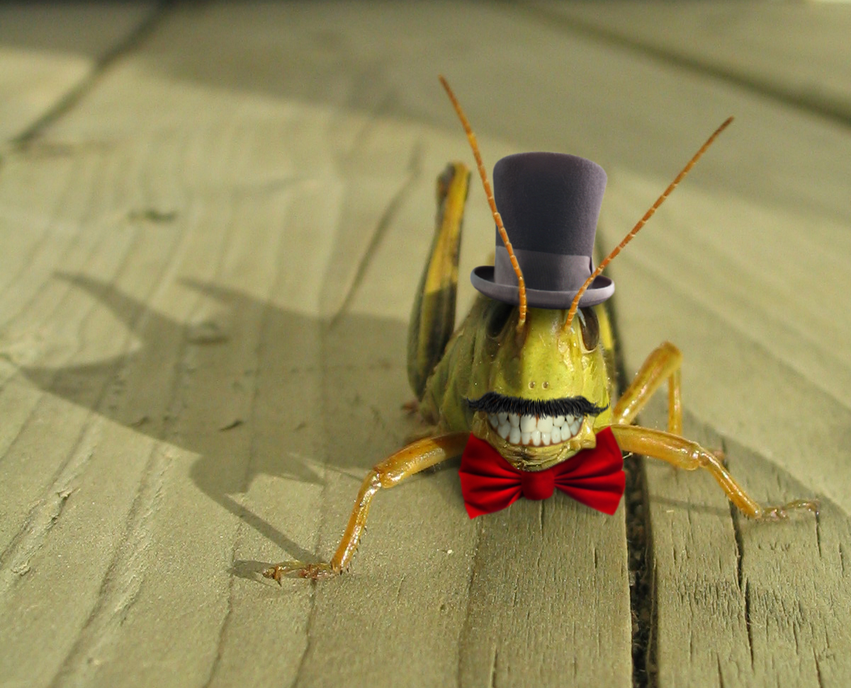 Photoshop Design by NewDay for DesignCrowd (Community Contests) | Design #8935603