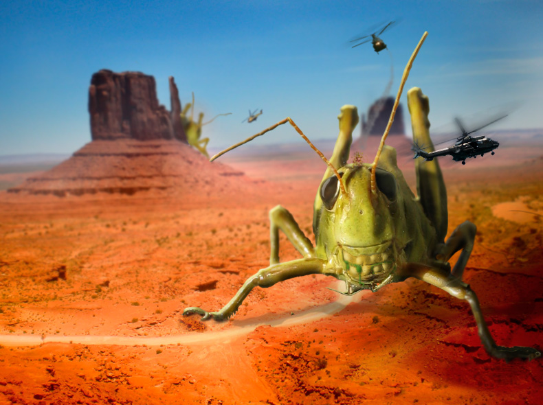 Photoshop Design by tatomanya for DesignCrowd (Community Contests) | Design #8935612