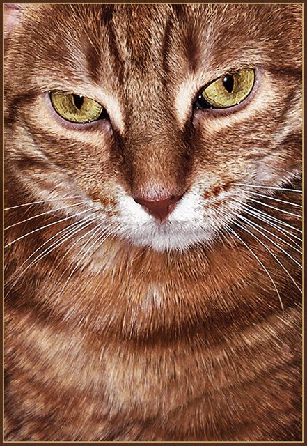 Fotografía por klstover para DesignCrowd (Community Contests) | Diseño #8935017