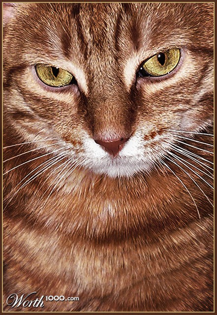 Photography by klstover