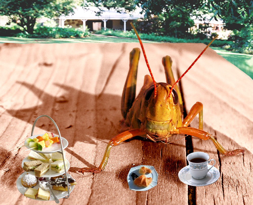 Diseño de Photoshop por elgosso para DesignCrowd (Community Contests) | Diseño #8935560