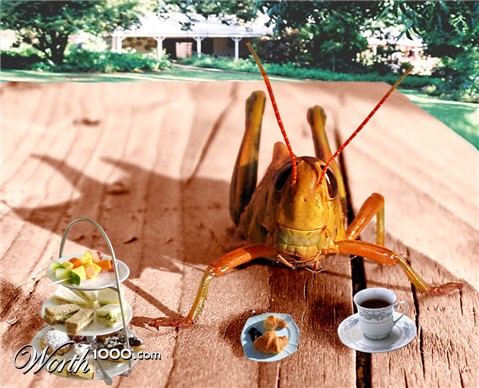 Photoshop Design by elgosso