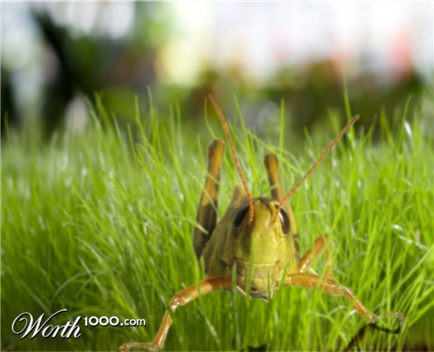 Photoshop Design by anestan