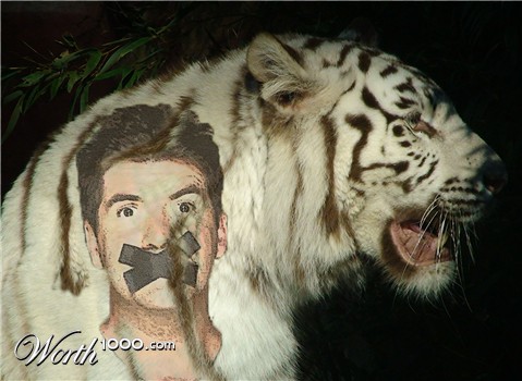 Photoshop Design by anestan