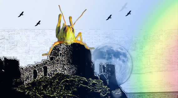 Photoshop Design by mdali2020 for DesignCrowd (Community Contests) | Design #8935639