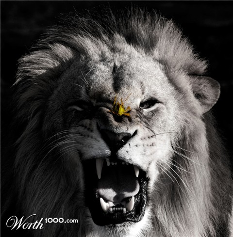 Photoshop Design by MrTellus