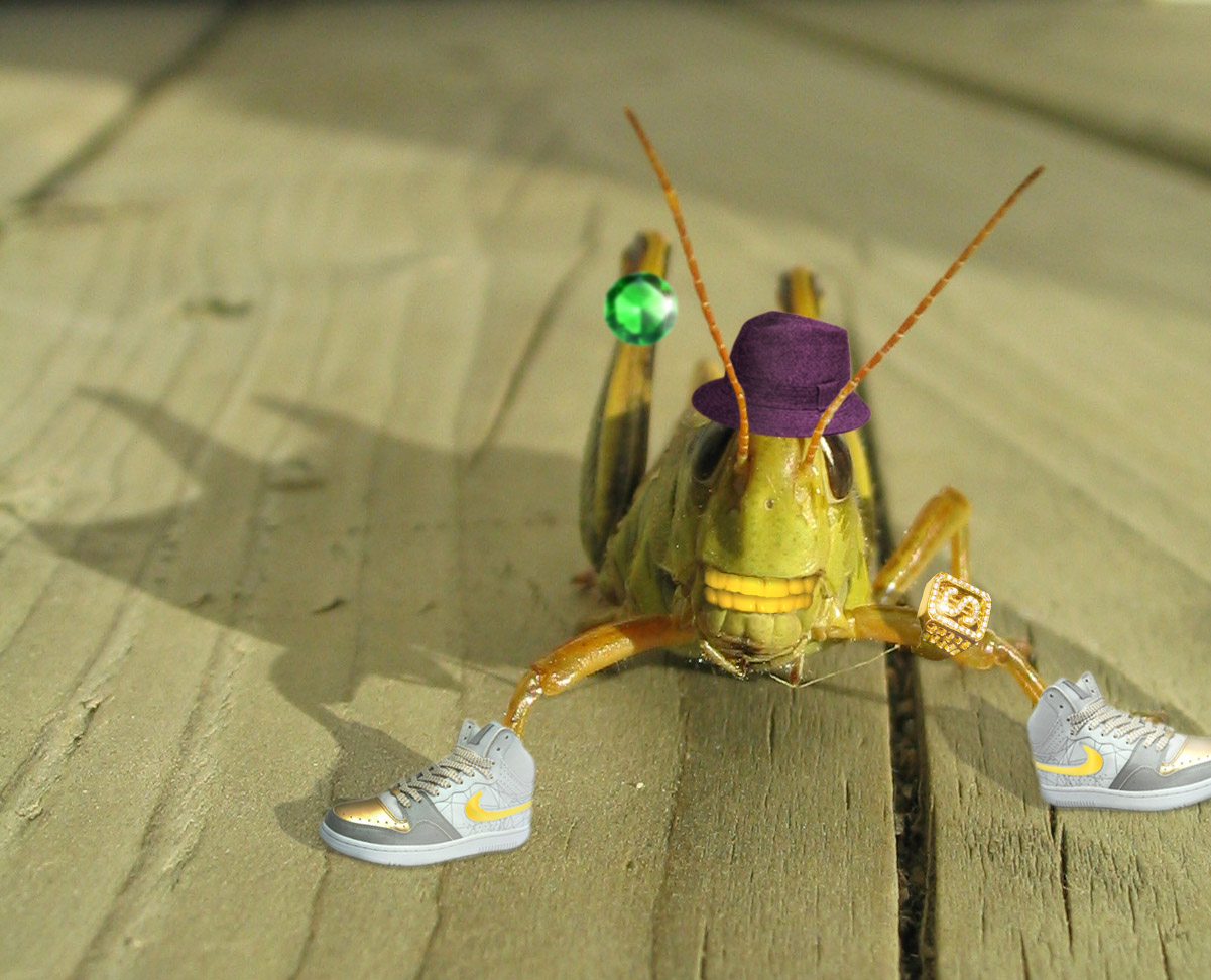 Photoshop Design by karrak for DesignCrowd (Community Contests) | Design #8935678