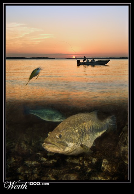 Photography by Fishcat