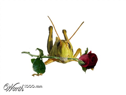 Photoshop Design by navashree