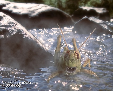 Photoshop Design by 3djedi