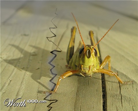 Photoshop Design by jsmrcaga