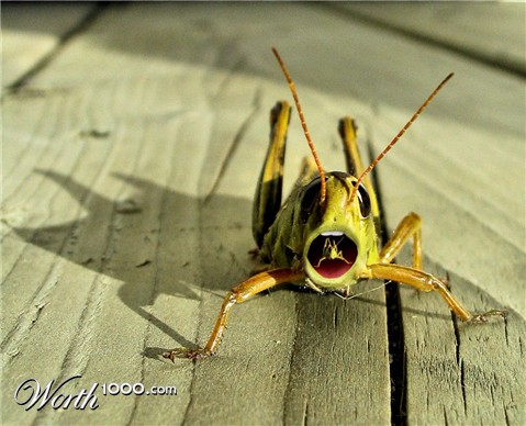 Photoshop Design by Robbyfromitaly