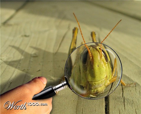 Photoshop Design by janefrog