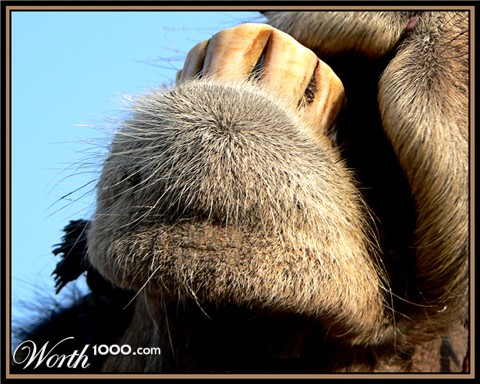 Photography by sgatanstu