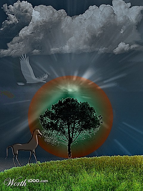 Photoshop Design by grmy01