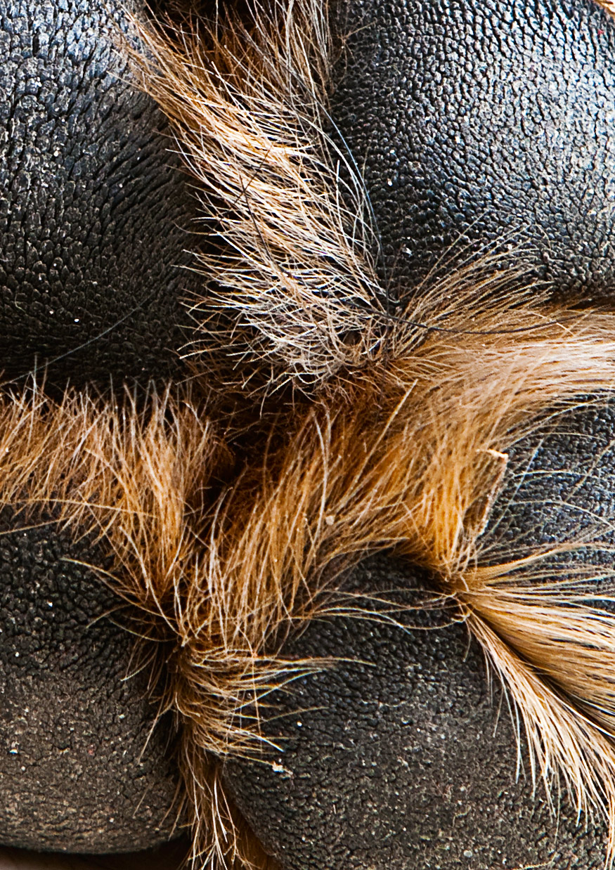 Fotografie von DozerLYP für DesignCrowd (Community Contests) | Design #8935131