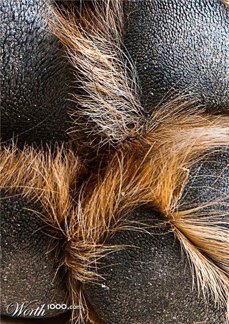 Photography by DozerLYP