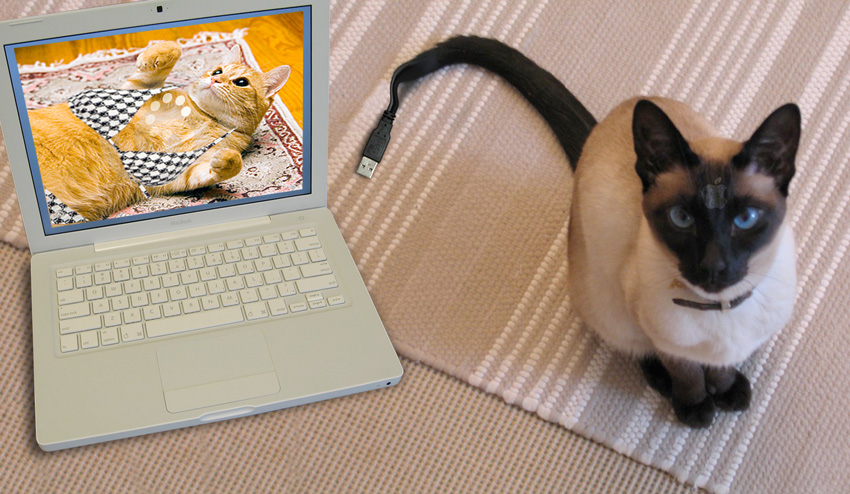 Diseño de Photoshop por abbydda para DesignCrowd (Community Contests) | Diseño #8938040