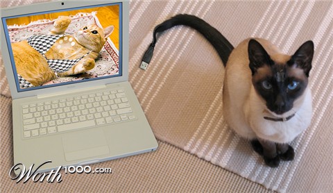 Photoshop Design by abbydda