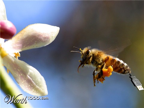 Photoshop Design by dhallfxs