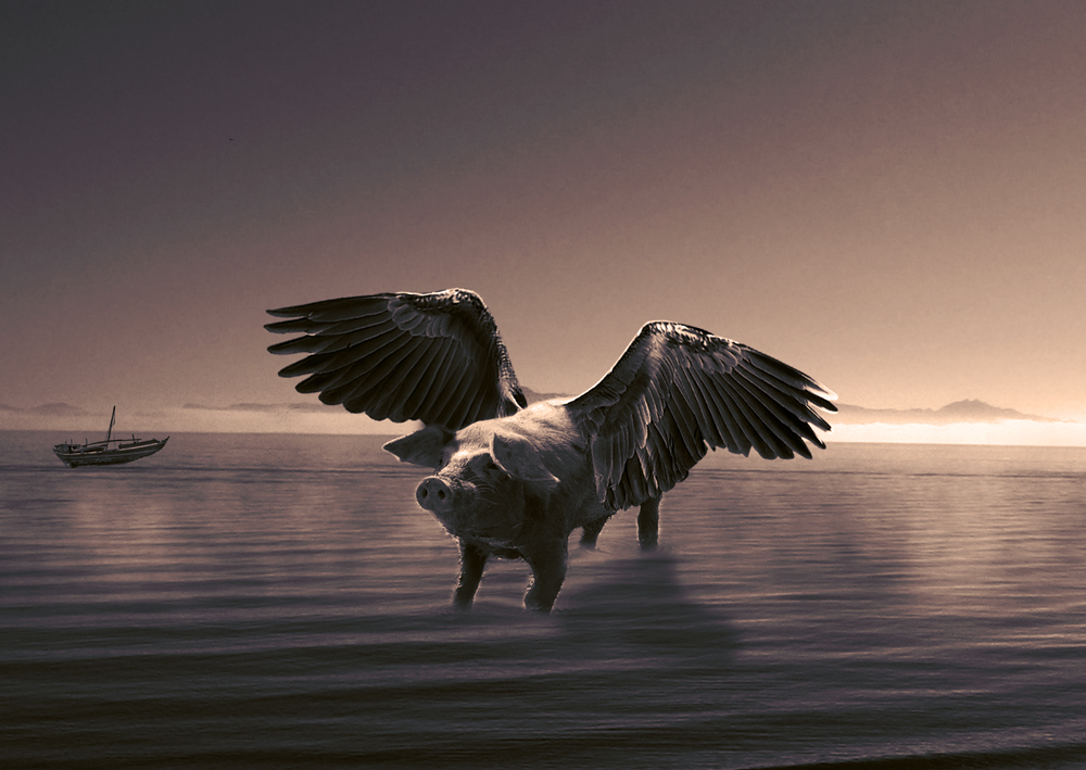 Design Photoshop par johnny0607 pour DesignCrowd (Community Contests) | Design #8939115