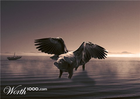 Photoshop Design by johnny0607